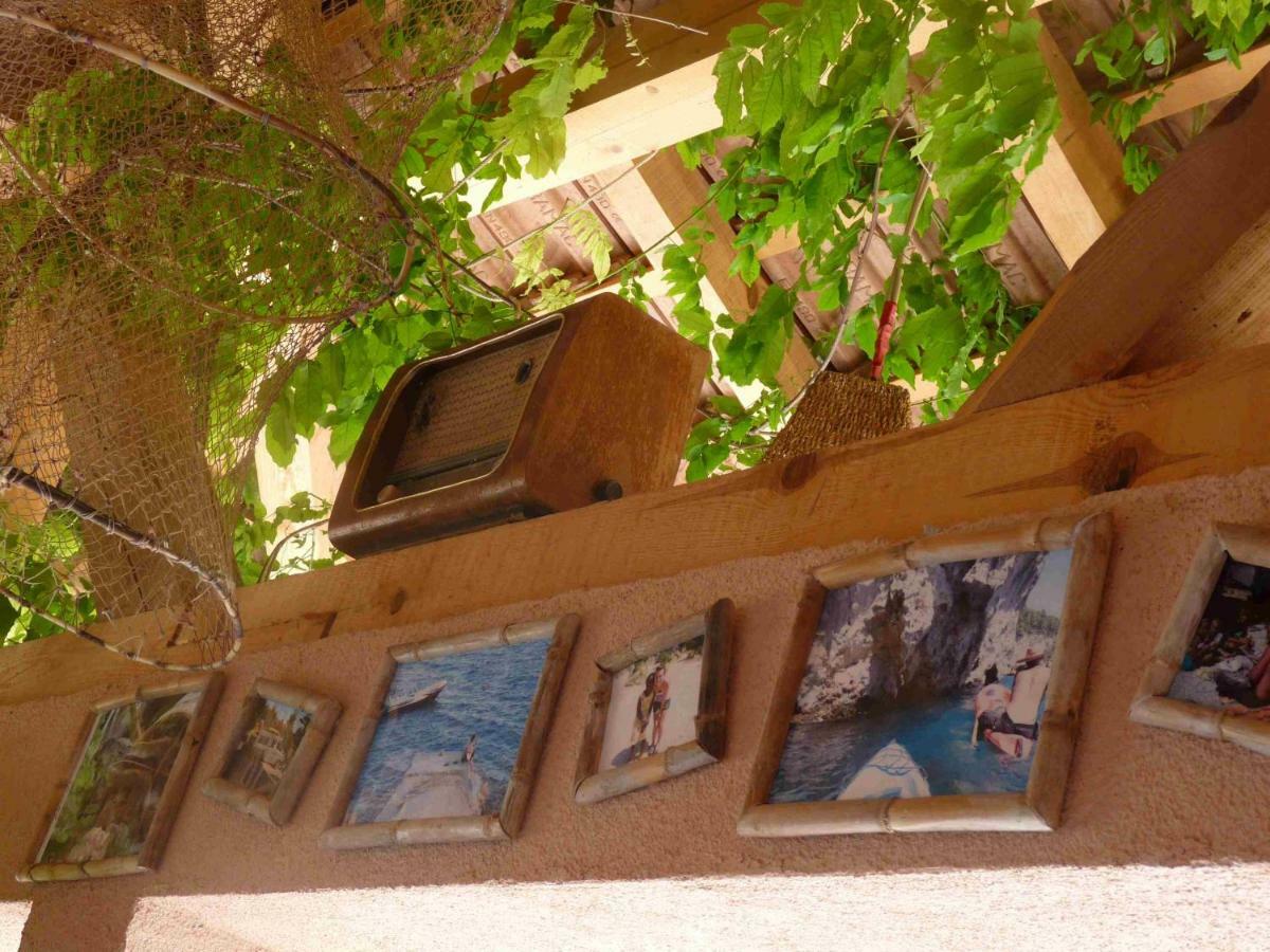 Camping Aloa Bol Kültér fotó